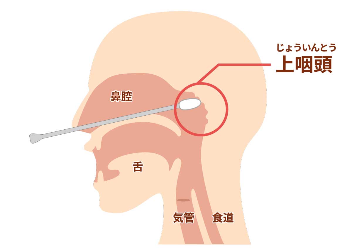 睡眠時無呼吸症候群の睡眠評価装置